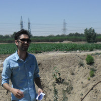 Mostafa Amani