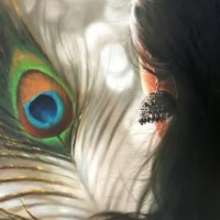 Rithivarshini T