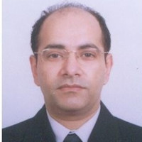 Raman Nagpal (CISA,MCA, MBA,PMP)