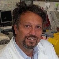 Massimo Zollo