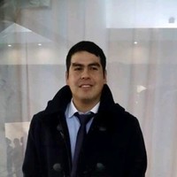 Michael Villarroel Curihual