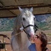 Furia Cavallo Del West