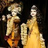 Vikas Jangir