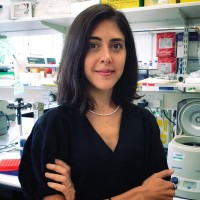 Marta Ferraresso, Ph.D.