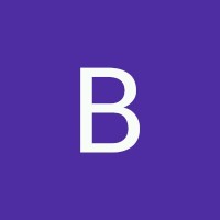 B.S. EXPORTS