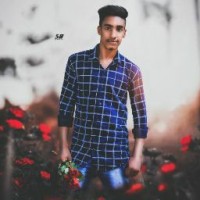 Panda _Creation