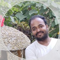 Nagaraj Sudareshwaran