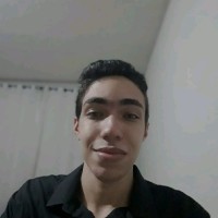 Thiago Simon Da Silva Menegueli Lopes