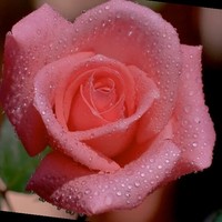 Israr Raza