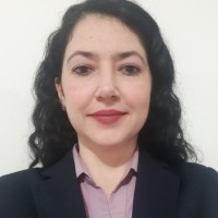 Diana Toro Añazco