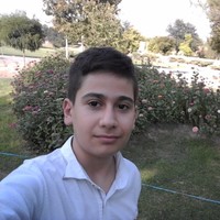 امیرحسین جریانی