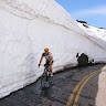 Darrell Shofstall