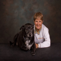 Vicky Dog Walks 'N More, LLC