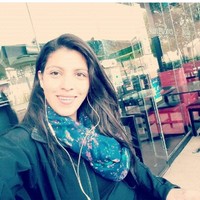Arlemili Colmenares