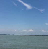 林修豪