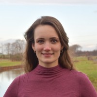 Wies Van Hoek