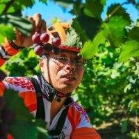 王世坤