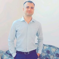 Malik, Sanjeev