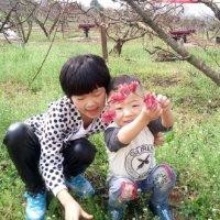 赖小燕