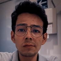 Christian Fernando Alfaro Guzman