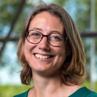 Ilse De Vent