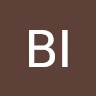 BI Data