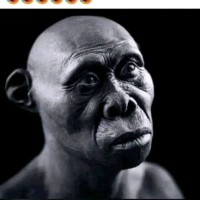 David Malatji