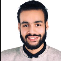 نور فؤاد