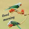 Ranga Naresh