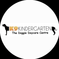 K9 Kindergarten - Dog Daycare Centre