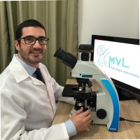 Matheus Vilardo Lóes Moreira