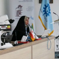 Maryam Bahreini, Ph.D.