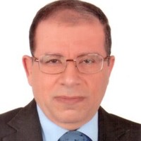 Mohamed Zaki Helal