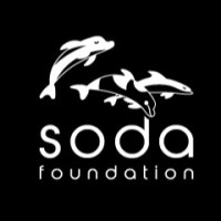 Soda Foundation