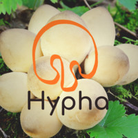 Hypha Chile