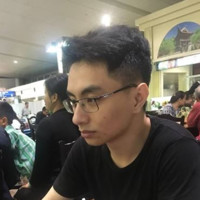 Nguyen The Anh Dinh