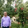 Rajeev Jha