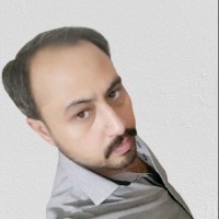 M. Waseem Ellahi