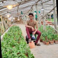 Arjun Ketha