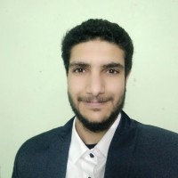 adel fareed