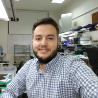 Jean Carlos Bravo Saez