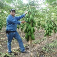 Gonzalo González