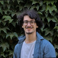 Martim Afonso