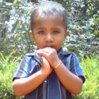 Jose L