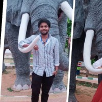 Murapaka Vineeth Kumar