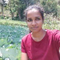 Dilini thakshila