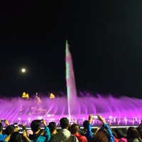 陈莉萍