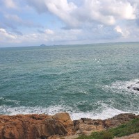李晋兵