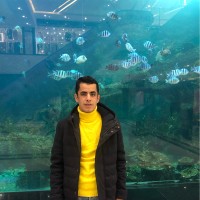 Abanoub Essam