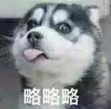 王定松